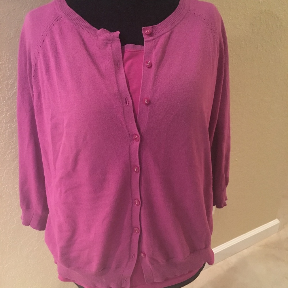 Beautiful Plum Ann Taylor Tank & Sweater